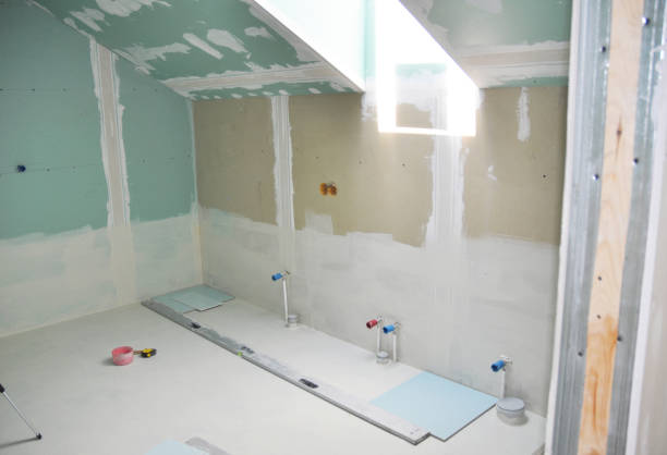 Best Mold Documentation for Insurance Claims  in Shelburn, IN