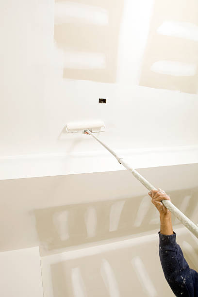 Best Real Estate Mold Inspection  in Shelburn, IN