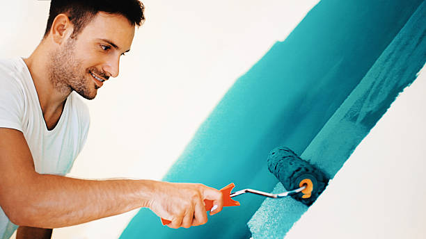 Shelburn, IN Mold Removal Company