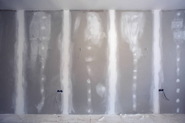 Best Forensic Mold Investigation  in Shelburn, IN
